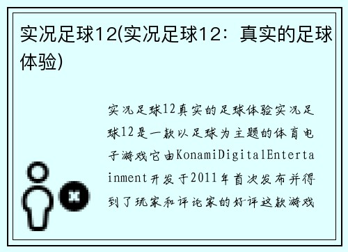 实况足球12(实况足球12：真实的足球体验)